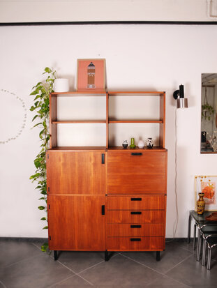 NIEUW Vintage Pastoe Cees Braakman "Made to Measure" systeemkast